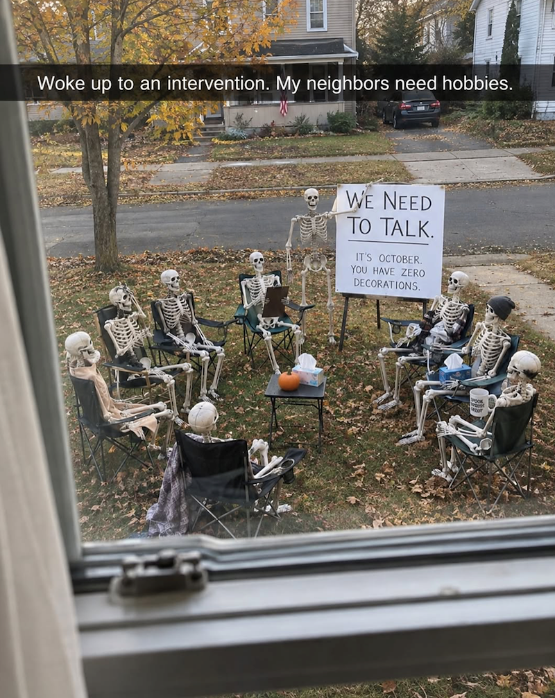 Woke up to an intervention. My neighbors need hobbies. WE NEED TO TALK. IT'S OCTOBER. YOU HAVE ZERO DECORATIONS.