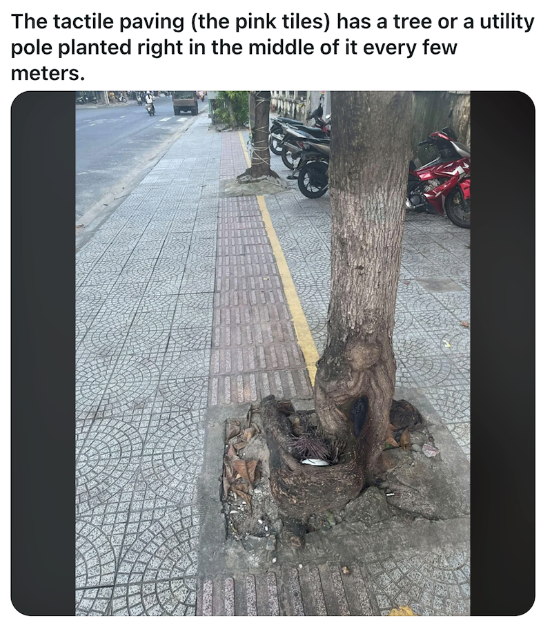 The tactile paving (the pink tiles) has a tree or a utility pole planted right in the middle of it every few meters.