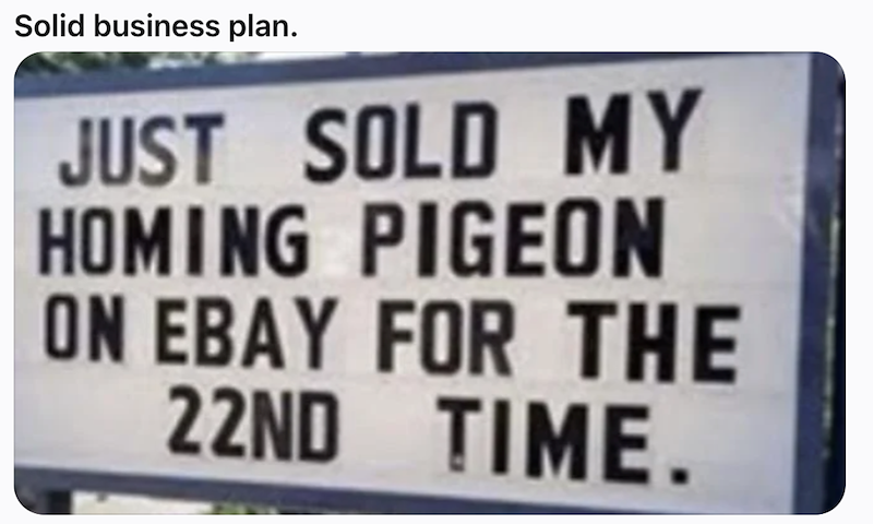 Solid business plan. JUST SOLD MY HOMING PIGEON ON EBAY FOR THE 22ND TIME.