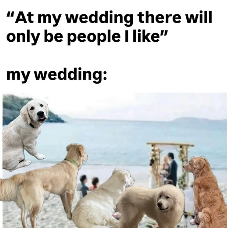 "At my wedding there will only be people I like" my wedding: