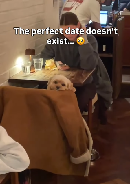 The perfect date doesn't exist...