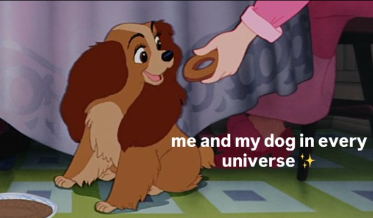 me and my dog in every universe +