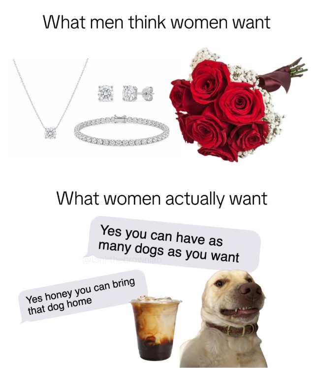 What men think women want What women actually want Yes you can have as many dogs as you want @tan Yes honey you can bring that dog home