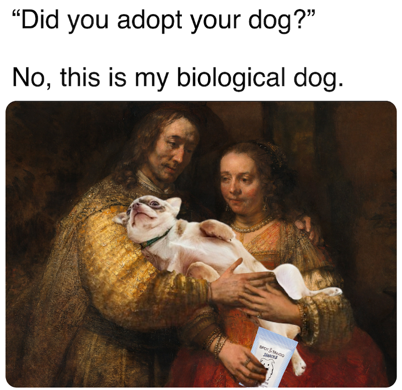 "Did you adopt your dog?" No, this is my biological dog. SPOT & TANGO SMACYS