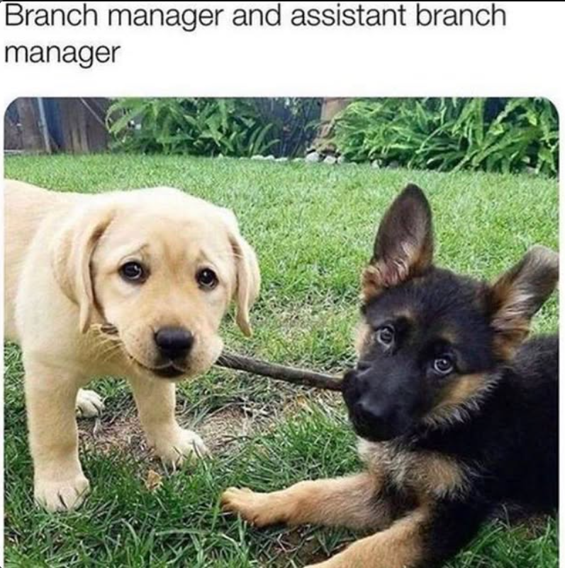 Branch manager and assistant branch manager