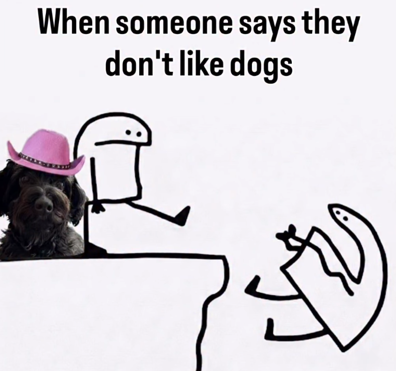 When someone says they don't like dogs
