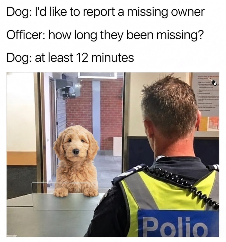 Dog: I'd like to report a missing owner Officer: how long they been missing? Dog: at least 12 minutes Polio