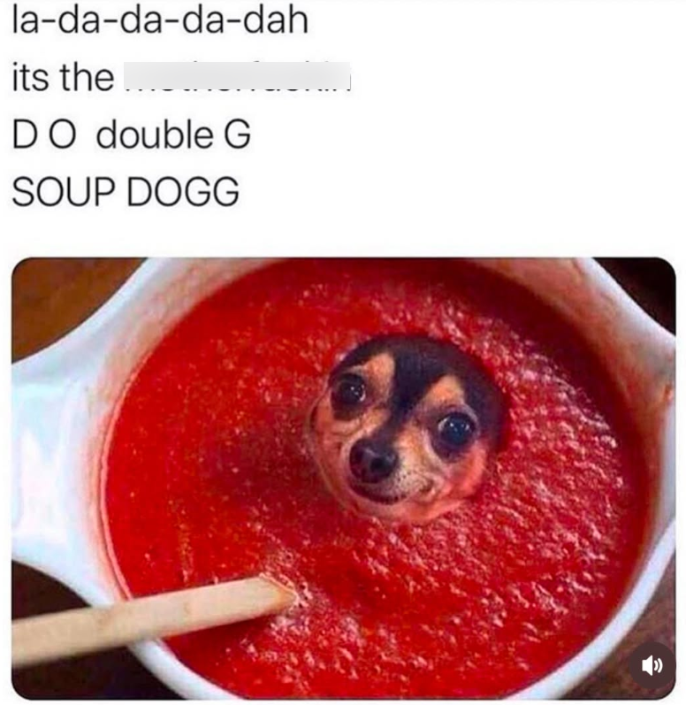 la-da-da-da-dah its the.... DO double G SOUP DOGG