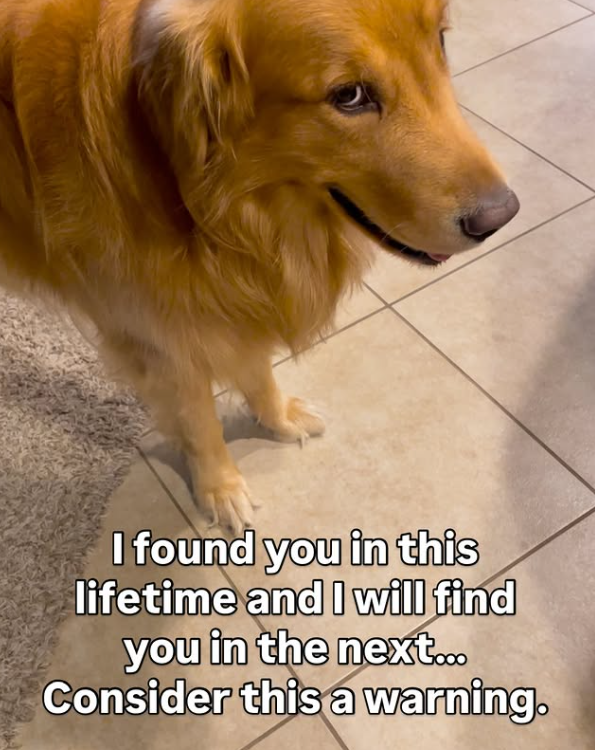 I found you in this lifetime and I will find you in the next... Consider this a warning.