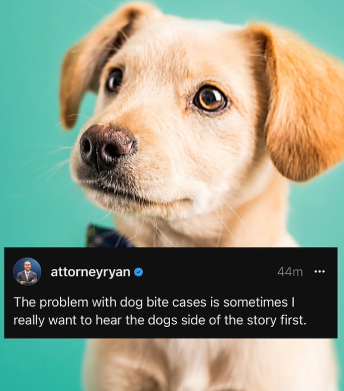 attorneyryan 44m The problem with dog bite cases is sometimes I really want to hear the dogs side of the story first.