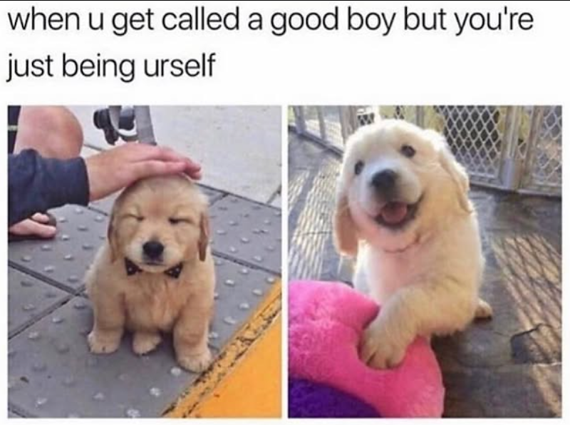 when u get called a good boy but you're just being urself