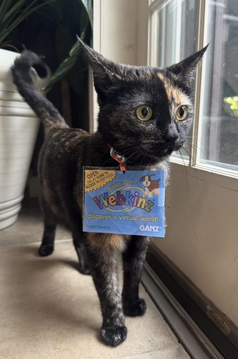 OPEN TAG AT HOME TO ACCESS SECRET CODE wwww Adopt a pe Webkinz discover a virtual world! Patent Pending GANZ