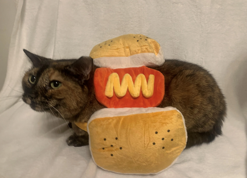 MWWW