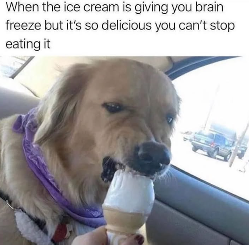 When the ice cream is giving you brain freeze but it's so delicious you can't stop eating it
