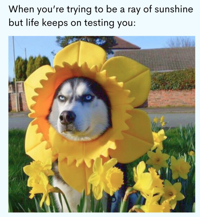 When you're trying to be a ray of sunshine but life keeps on testing you: