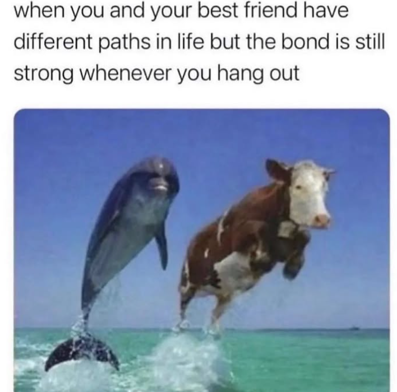 when you and your best friend have different paths in life but the bond is still strong whenever you hang out