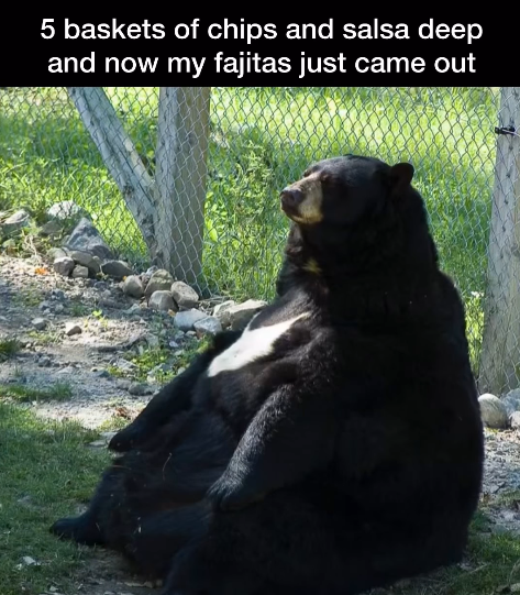 5 baskets of chips and salsa deep and now my fajitas just came out