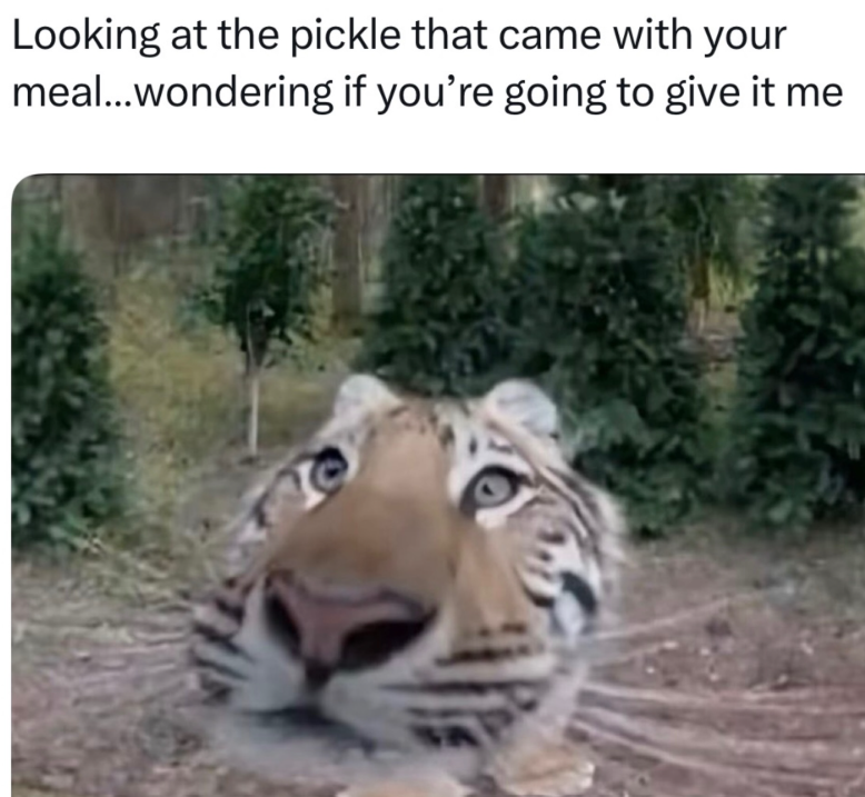 Looking at the pickle that came with your meal...wondering if you're going to give it me