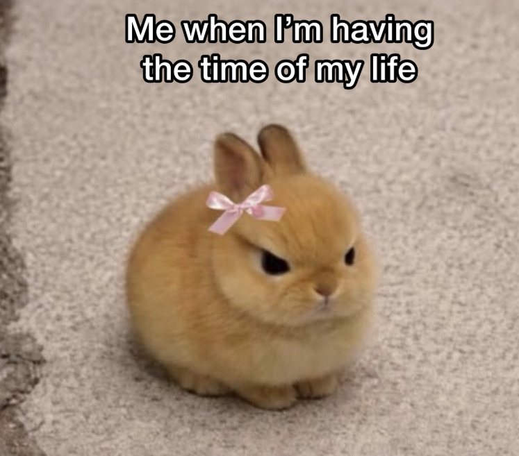Me when I'm having the time of my life