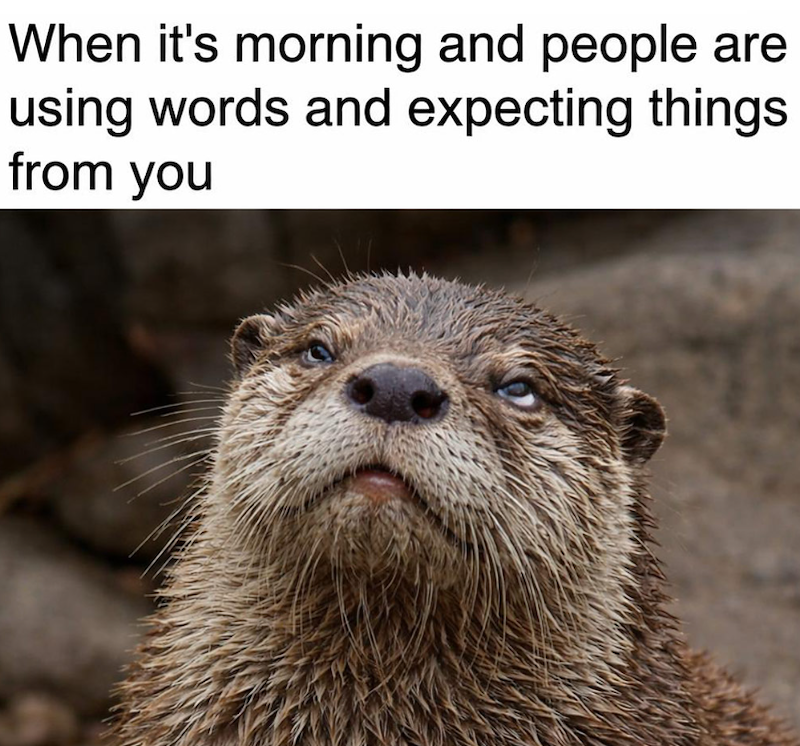 When it's morning and people are using words and expecting things from you
