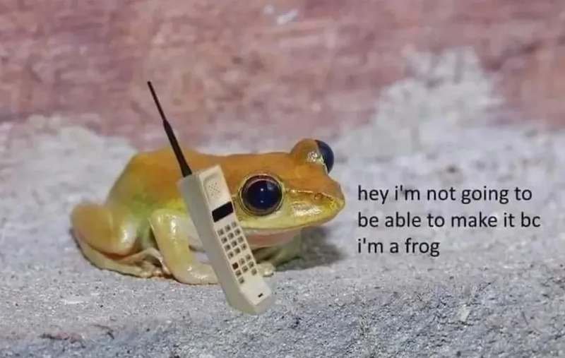 hey i'm not going to be able to make it bc i'm a frog