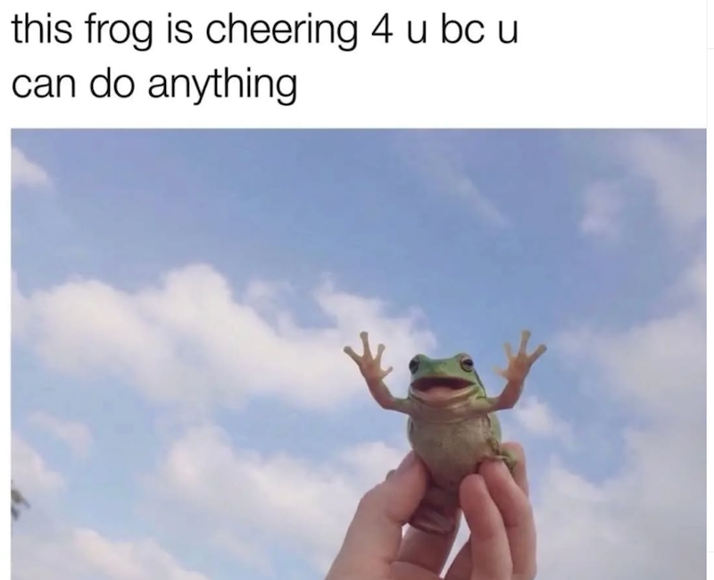this frog is cheering 4 u bc u can do anything
