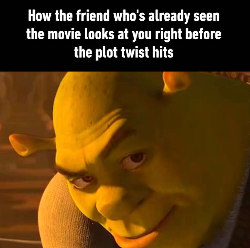 How the friend who's already seen the movie looks at you right before the plot twist hits