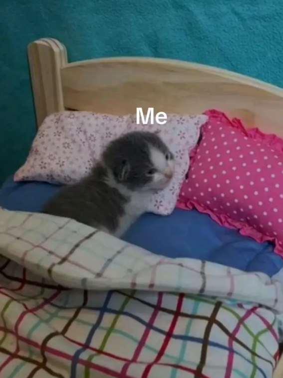 Me