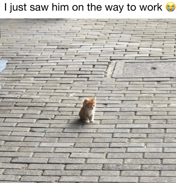 I just saw him on the way to work