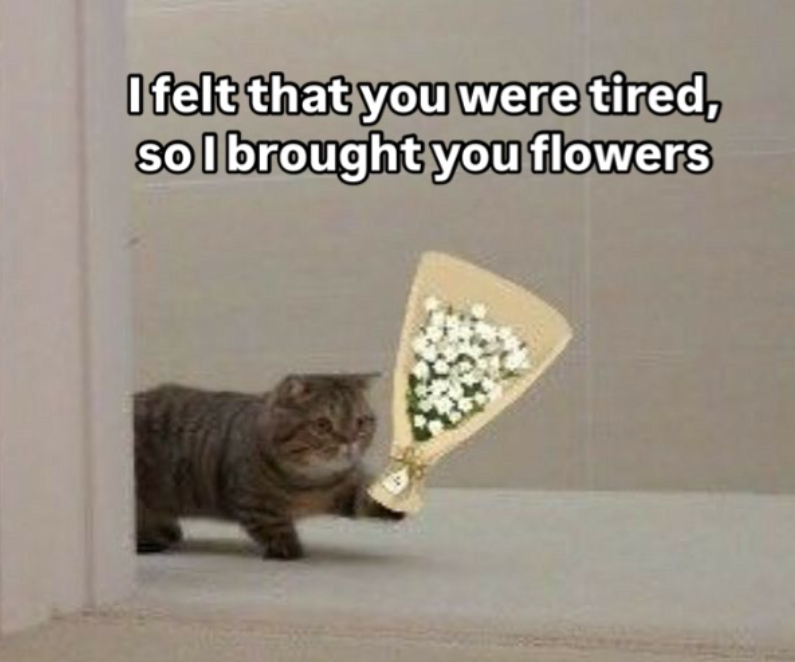 I felt that you were tired, so I brought you flowers