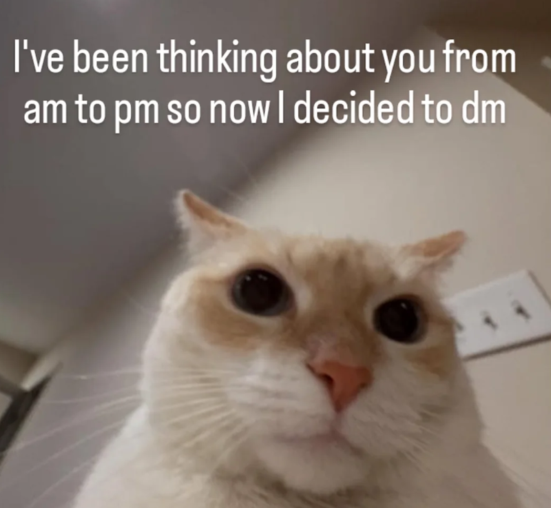 I've been thinking about you from am to pm so now I decided to dm