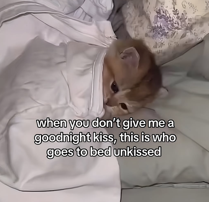 when you don't give me a goodnight kiss, this is who goes to bed unkissed