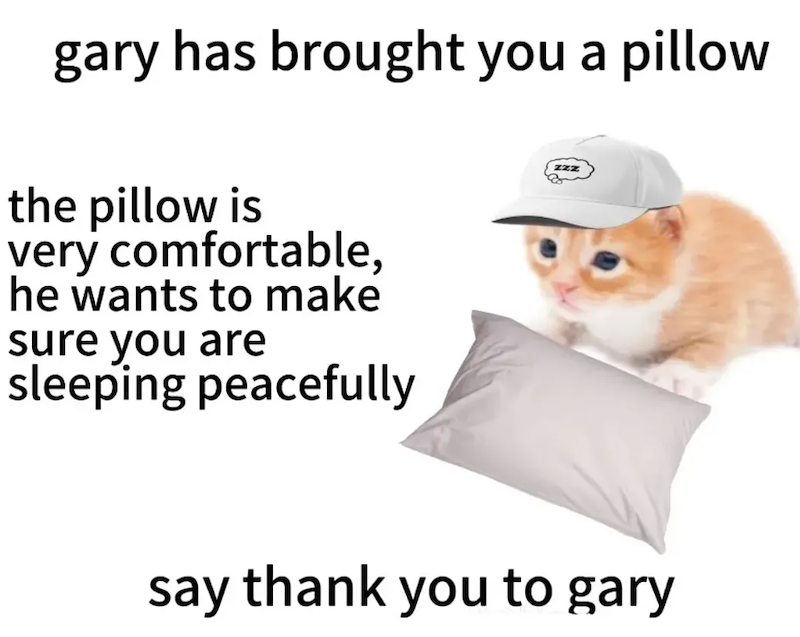 gary has brought you a pillow the pillow is very comfortable, he wants to make sure you are sleeping peacefully zzz say thank you to gary