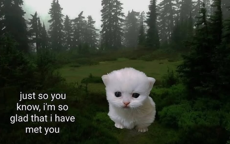 just so you know, i'm so glad that i have met you