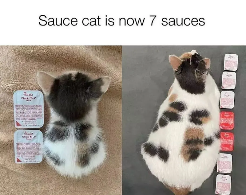 Керек Chick-fil-A Chick-fil-A Sauce cat is now 7 sauces