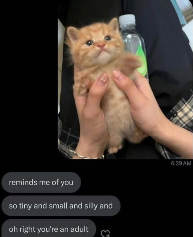 reminds me of you so tiny and small and silly and oh right you're an adult 6:29 AM