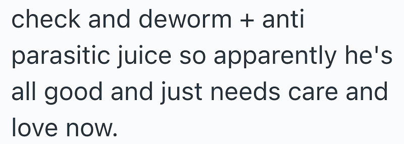 check and deworm + anti parasitic juice so apparently he's all good and just needs care and love now.