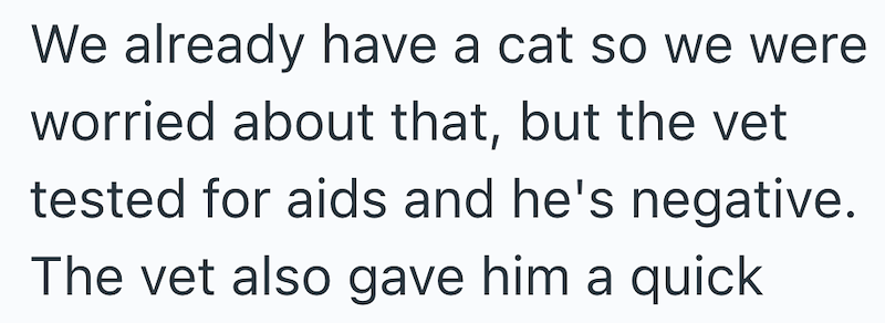 We already have a cat so we were worried about that, but the vet tested for aids and he's negative. The vet also gave him a quick