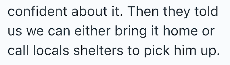 confident about it. Then they told us we can either bring it home or call locals shelters to pick him up.