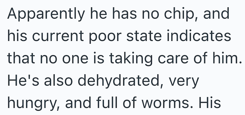 Apparently he has no chip, and his current poor state indicates that no one is taking care of him. He's also dehydrated, very hungry, and full of worms. His