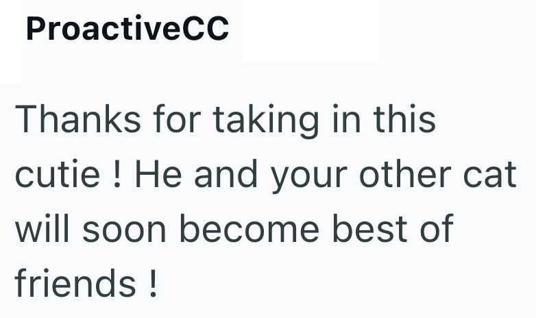 ProactiveCC Thanks for taking in this cutie! He and your other cat will soon become best of friends !