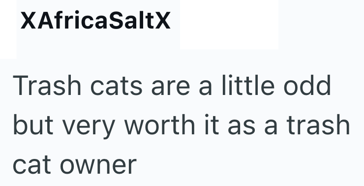 XAfricaSaltx Trash cats are a little odd but very worth it as a trash cat owner