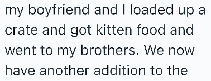 my boyfriend and I loaded up a crate and got kitten food and went to my brothers. We now have another addition to the
