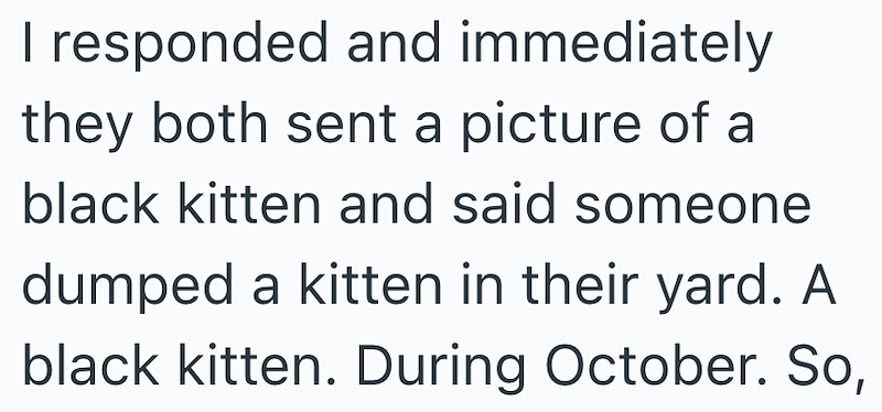 I responded and immediately they both sent a picture of a black kitten and said someone dumped a kitten in their yard. A black kitten. During October. So,