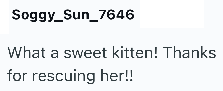 Soggy_Sun_7646 What a sweet kitten! Thanks for rescuing her!!