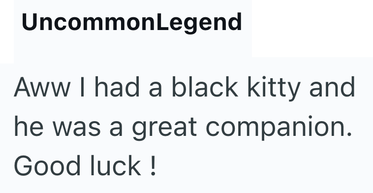 UncommonLegend Aww I had a black kitty and he was a great companion. Good luck!