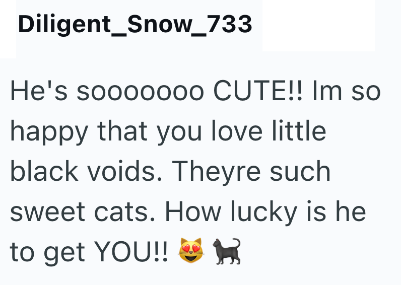 Diligent_Snow_733 He's sooooooo CUTE!! Im so happy that you love little black voids. Theyre such sweet cats. How lucky is he to get YOU!!