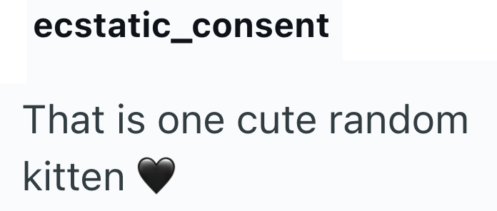 ecstatic_consent That is one cute random kitten