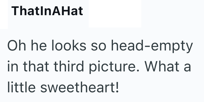 ThatInAHat Oh he looks so head-empty in that third picture. What a little sweetheart!