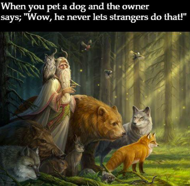 When you pet a dog and the owner says; "Wow, he never lets strangers do that!"